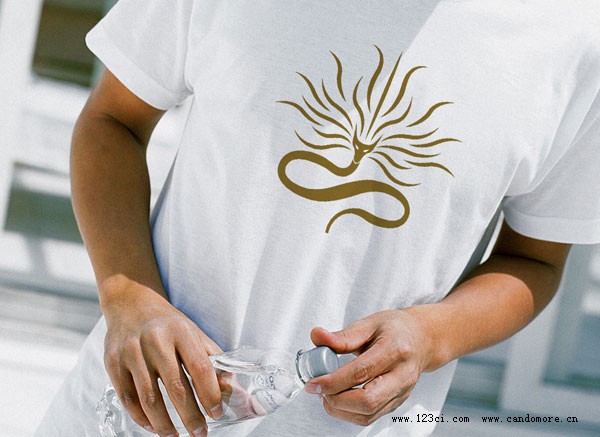 品牌英文命名、企業(yè)LOGO、產(chǎn)品包裝設(shè)計(jì)、品牌整體VI設(shè)計(jì)、品牌標(biāo)志設(shè)計(jì)、品牌VI設(shè)計(jì)、中英文標(biāo)準(zhǔn)字體、英文圖形標(biāo)設(shè)計(jì)標(biāo)準(zhǔn)色彩
