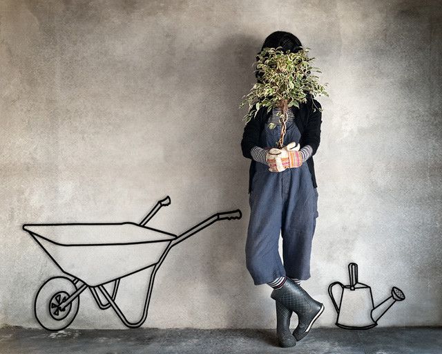 Heidi Lender,攝影作品,攝影師