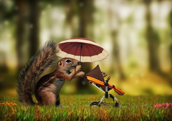 Caras Ionut,創(chuàng)意,攝影作品,羅馬尼亞,攝影