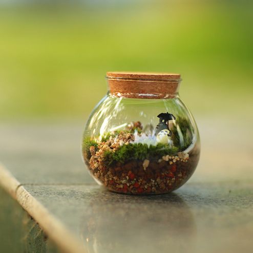 Ecoecho,創(chuàng)意,綠植,苔蘚瓶,綠植,禮物