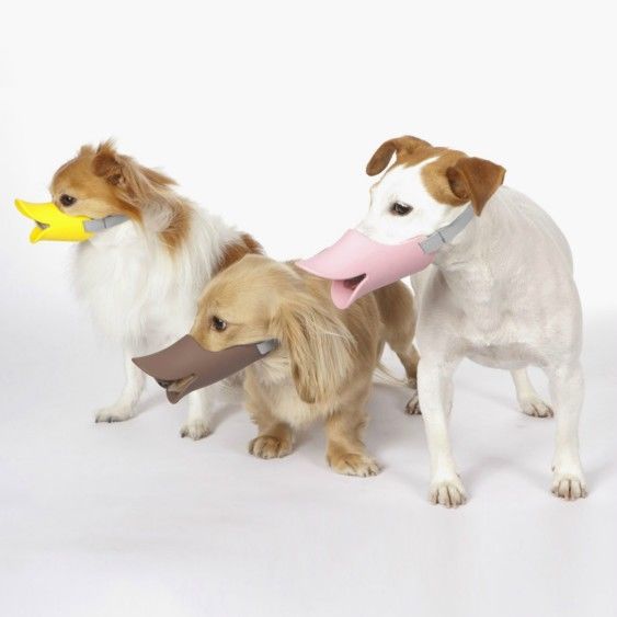 日本,OPPO,鴨嘴籠,Quack,創(chuàng)意產(chǎn)品設(shè)計(jì),創(chuàng)意產(chǎn)品,產(chǎn)品設(shè)計(jì)