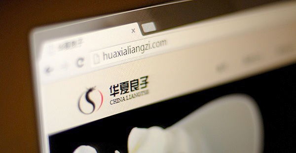 濟(jì)南網(wǎng)站設(shè)計(jì),華夏良子網(wǎng)站,濟(jì)南設(shè)計(jì)公司